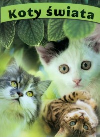 Koty świata - okładka książki