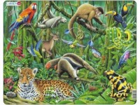 Las tropikalny Ameryki Południowej - zdjęcie zabawki, gry