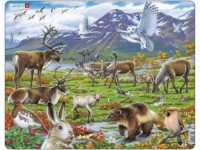 Zwierzęta śródlądowe Arktyki (puzzle - zdjęcie zabawki, gry