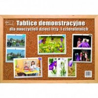 Tablice demonstracyjne dla nauczycieli - okładka podręcznika