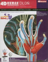 4D Dłoń. Model anatomiczny - zdjęcie zabawki, gry