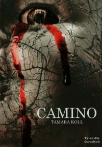 Camino - okładka książki
