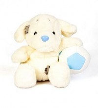 Labrador niebieski nosek - zdjęcie zabawki, gry
