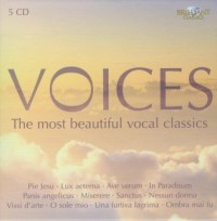 Voices. The most beautiful vocal - okładka płyty