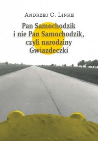 Pan Samochodzik i nie Pan Samochodzik, - okładka książki