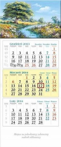 Kalendarz 2014. Drzewo - okładka książki