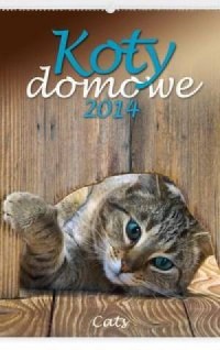 Kalendarz 2014. Koty domowe - okładka książki