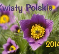 Kalendarz 2014. Kwiaty polskie - okładka książki
