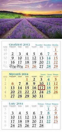 Kalendarz 2014. Lawenda - okładka książki