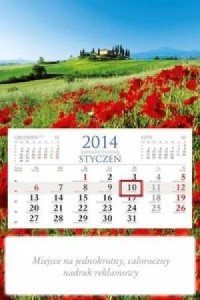 Kalendarz 2014. Maki - okładka książki