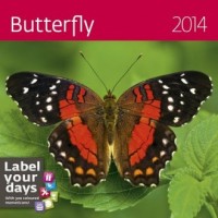 Kalendarz 2014. Motyle - okładka książki