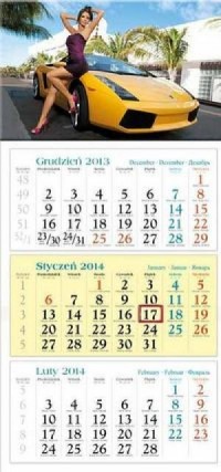 Kalendarz 2014. Natasza - okładka książki