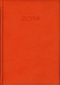 Kalendarz 2014. Pomarańczowy (dzienny - okładka książki