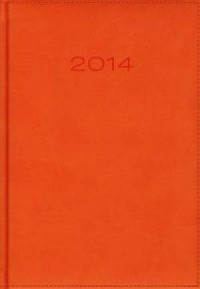 Kalendarz 2014. Pomarańczowy dzienny - okładka książki