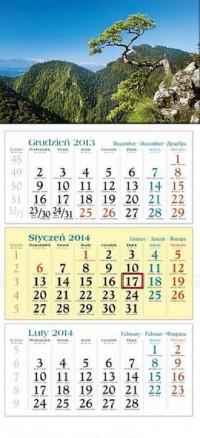 Kalendarz 2014. Sosna - okładka książki