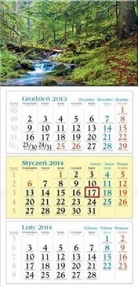 Kalendarz 2014. Strumień - okładka książki