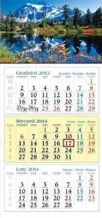 Kalendarz 2014. Widok - okładka książki