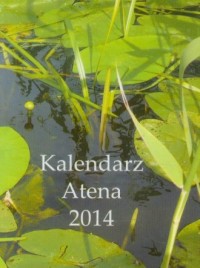 Kalendarz 2014. Atena - okładka książki