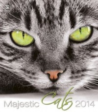 Kalendarz 2014. Piękne Koty - okładka książki
