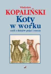 Koty w worku, czyli z dziejów pojęć - okładka książki