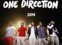 Kalendarz ścienny 2014. One Direction - okładka książki