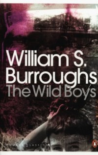 The Wild Boys - okładka książki