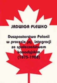 Duszpasterstwo Polonii w procesie - okładka książki