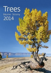 Kalendarz 2014. Drzewa - okładka książki