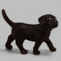Labrador szczenię - zdjęcie zabawki, gry