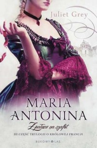 Maria Antonina. Z pałacu na szafot - okładka książki