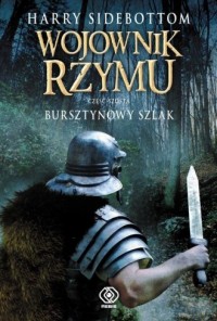 Wojownik Rzymu cz. 6. Bursztynowy - okładka książki