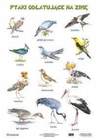 Plansza Ptaki odlatujące na zimę - okładka podręcznika