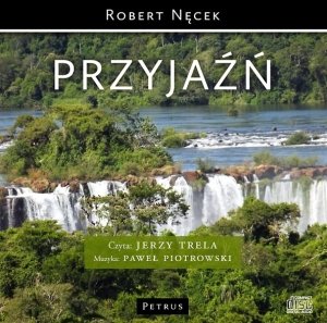 Przyjaźń (CD mp3) - pudełko audiobooku
