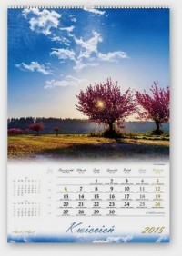 Kalendarz 2015. Blaski Słońca - okładka książki