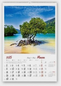 Kalendarz 2015. Drzewa świata - okładka książki