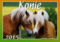 Kalendarz 2015. Konie (rodzinny) - okładka książki