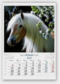 Kalendarz 2015. Konie w obiektywie - okładka książki