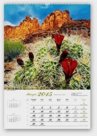 Kalendarz 2015. Kwiaty w naturze - okładka książki