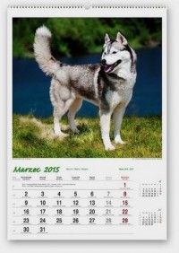 Kalendarz 2015. Psy rasowe - okładka książki