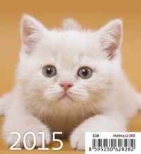 Kalendarz 2015. Kociaki - okładka książki
