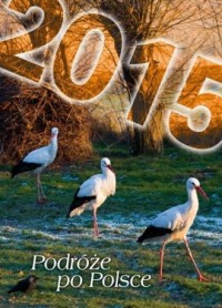 Kalendarz 2015. Podróże po Polsce - okładka książki