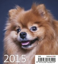 Kalendarz 2015. Szczeniaki - okładka książki
