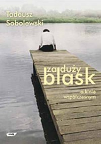 Za duży blask. O kinie współczesnym - okładka książki