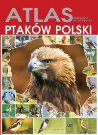 Atlas ptaków Polski. Ilustrowana - okładka książki