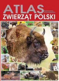 Atlas zwierząt Polski. Ilustrowana - okładka książki