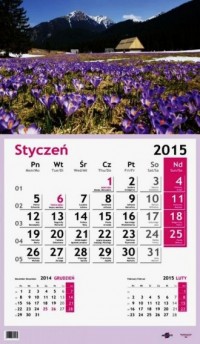 Kalendarz 2015. Krokusy - okładka książki