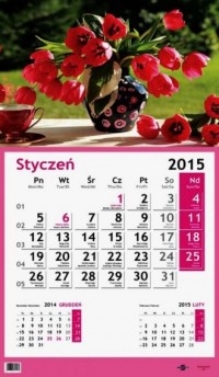 Kalendarz 2015. Tulipany - okładka książki