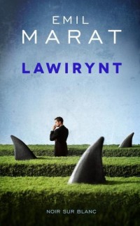 Lawirynt - okładka książki