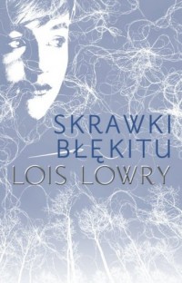 Skrawki błękitu - okładka książki