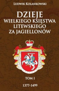 Dzieje Wielkiego Księstwa Litewskiego - okładka książki